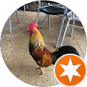Glenn S. profile picture